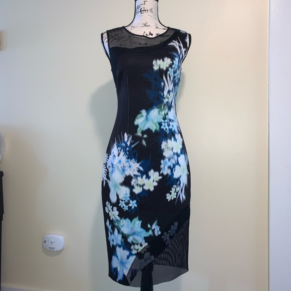 Elie Tahari Floral Sheath Dress with Mesh size 4 - Picture 1 of 8